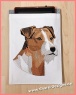 Parson Russel Terrier in 5 stockhaarigen Größen