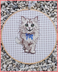 Kater Kurt