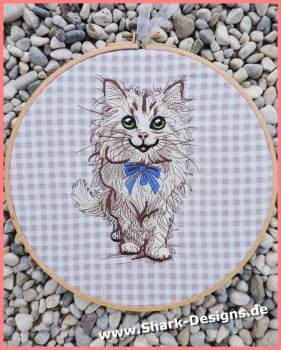 Kater Kurt