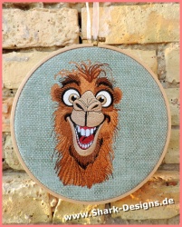 Camel Kuno