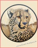 Gepard