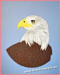 Bald eagle - the proud...