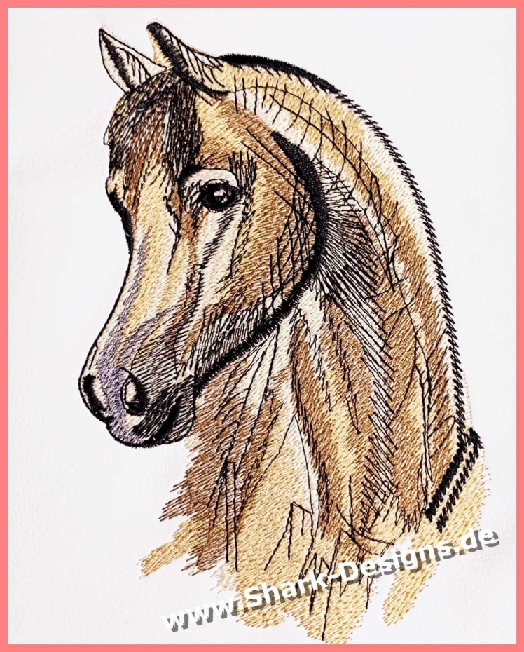 Arabian Horse life Embroidery Digital Design File 5x7 and 6x10 gift 2 colors